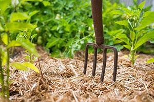 preparing a garden for spring - mulch
