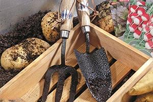 garden trends