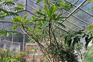 Tomtech Control Systems Enhance research capabilities in university's greenhouses