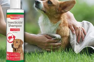 Beaphar Insecticidal Shampoo for dogs