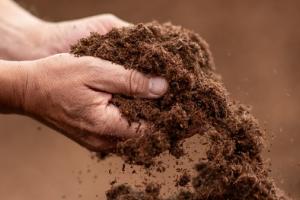 Peat