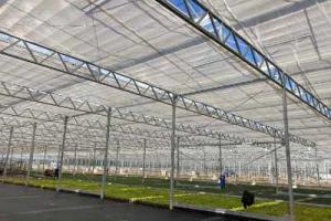 Commercial greenhouses