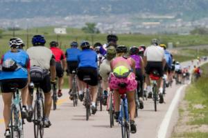 A group of cyclists pedalling into the distance