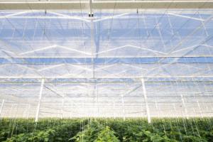A green house