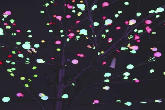 Multi coloured blossom lights