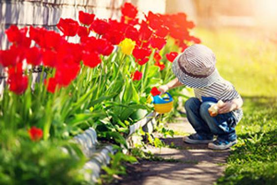 Little boy watering plants in Haskins Garden Centre after taking part in the colouring competition