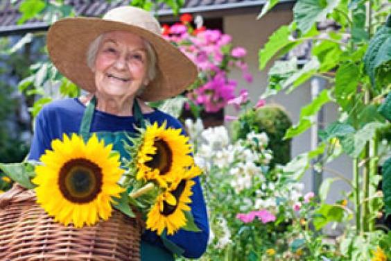 Gardens are a stimulating, peaceful outdoor environment for those with dementia