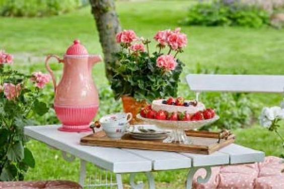 geraniums on table