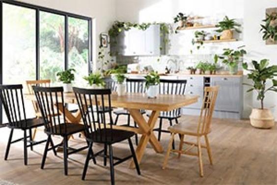 houseplants