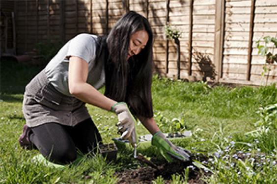 Lady Gardening